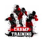 Logo of MMA, Boxing, Muay Thai workout android Application 